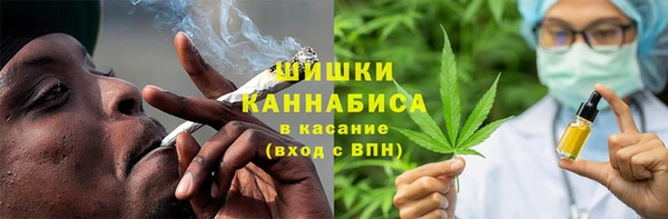 крисы Куйбышев