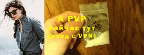 эйфоретик Кукмор