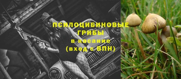 эйфоретик Кукмор