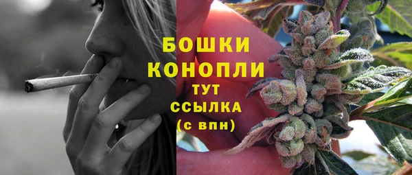 эйфоретик Кукмор