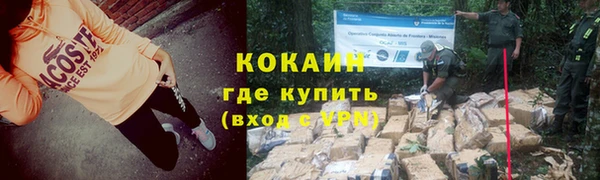 крисы Куйбышев